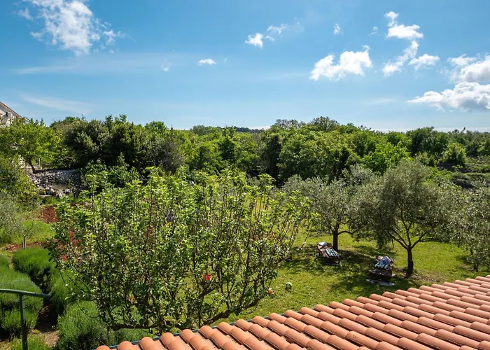 Tuscany By Interhome Dobrinj