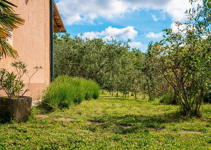 Tuscany By Interhome * Dobrinj