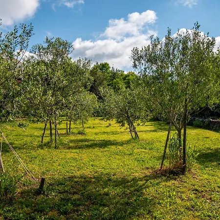 Holiday home Little Tuscany By Interhome Dobrinj