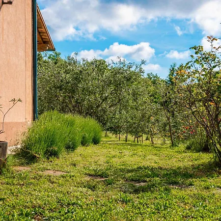 Little Tuscany By Interhome * Dobrinj