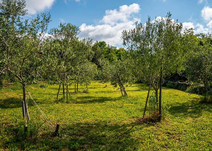 Dom wakacyjny Tuscany By Interhome Dobrinj